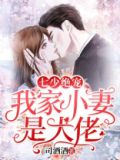 七少绝宠:我家小妻是大佬