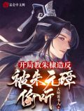 大明我是朱棣