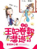 王爷，王妃卷款潜逃了