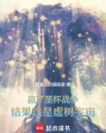 虚假的圣杯战争