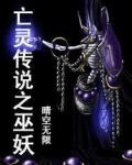 亡灵传说之巫妖 小说下载