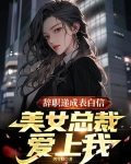 准备辞职,总裁却向我求婚