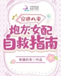 穿成八零女炮灰廿廿呀