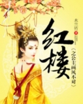 红楼之公主画风不对格格党
