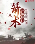 主角修炼箭术的玄幻小说