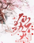 仙劫不灭小说下载全文