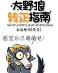 大野狼的技能是什么?