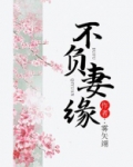 不负妻缘小说免费阅读