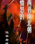 三国两晋南北朝思维导图