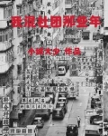 混社团的小说