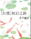 红楼 权臣之妻