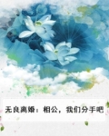 相公无耻小说免费阅读